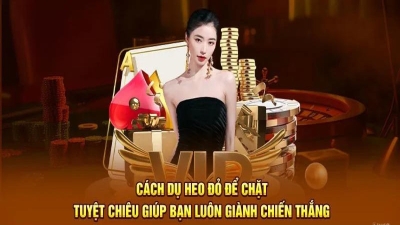 Cách Dụ Heo Đỏ Để Chặt Chuẩn Xác, Tránh Các Rủi Ro